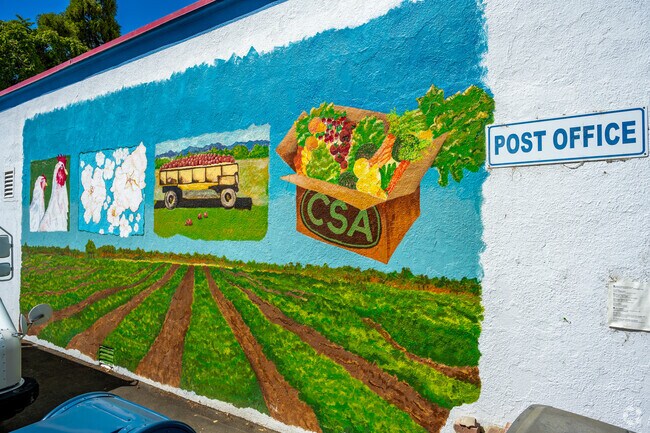 Esparto’s small downtown centers daily life with cafés, services, and parks.