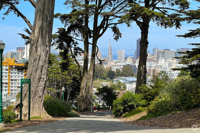 Alamo Square Park boasts spectacular views of San Francisco.