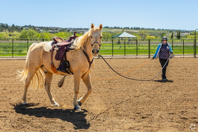 Salisbury Equestrian Park & Sports Complex near Stroh Ranch has space for horses to exercise.