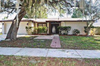 1204 Letona Ln, Valrico, FL 33596