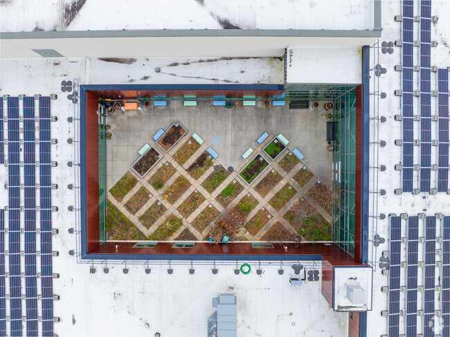 East Somerville Community School has a small courtyard with garden plots.