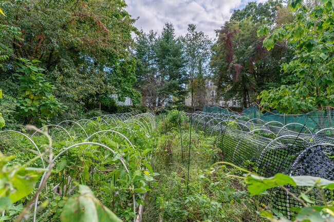 Starr Street Community Farm is a local community garden providing fresh produce to residents.