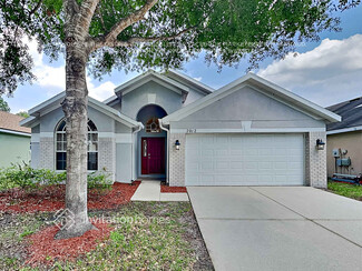 7012 Monarch Park Dr, Apollo Beach, FL 33572