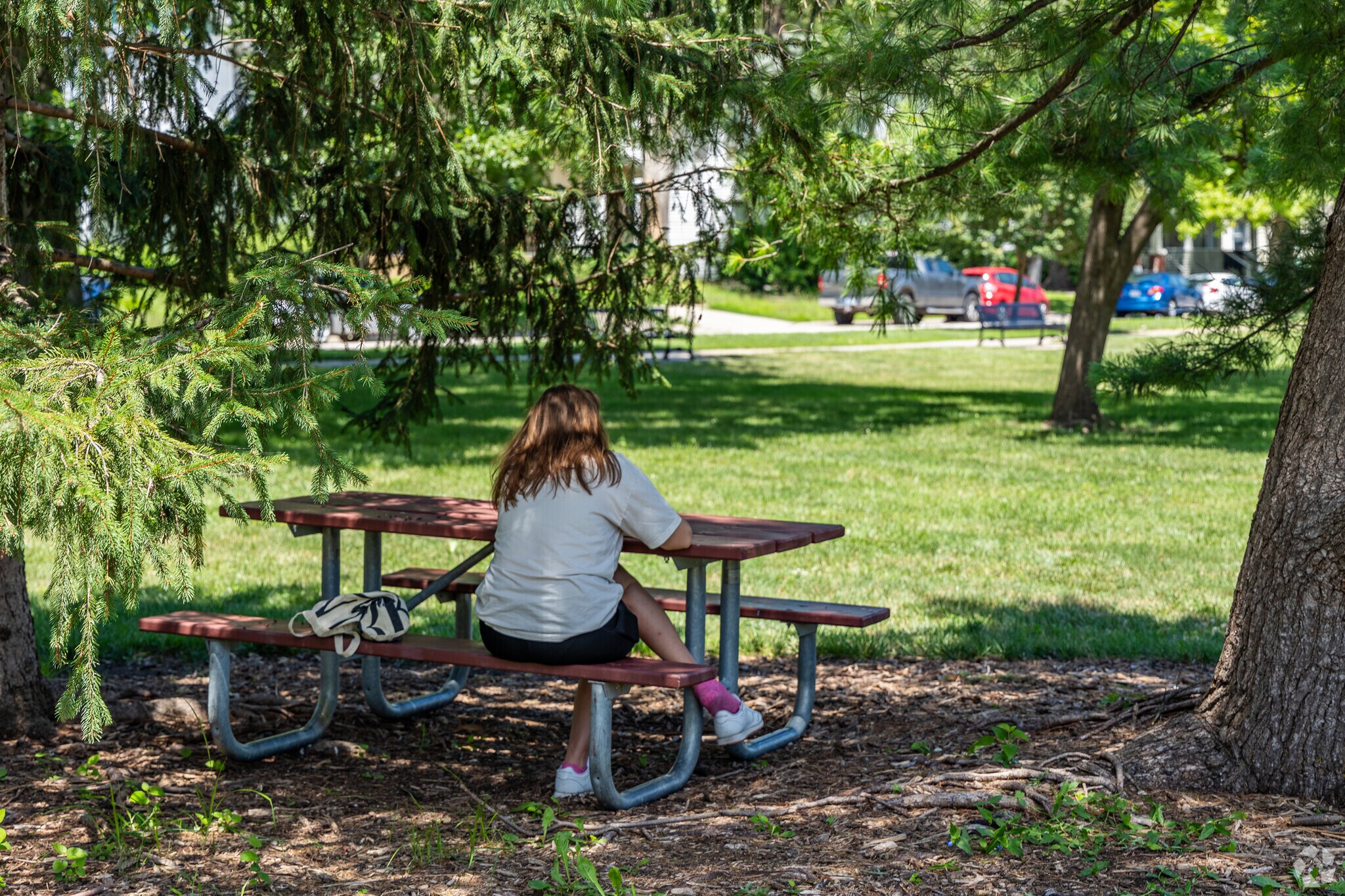South Park has several cozy place to relax and read.