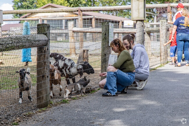 Visitors of Hovatter's Wildlife Zoo enjoy feeding the animals just outside of Kingwood.