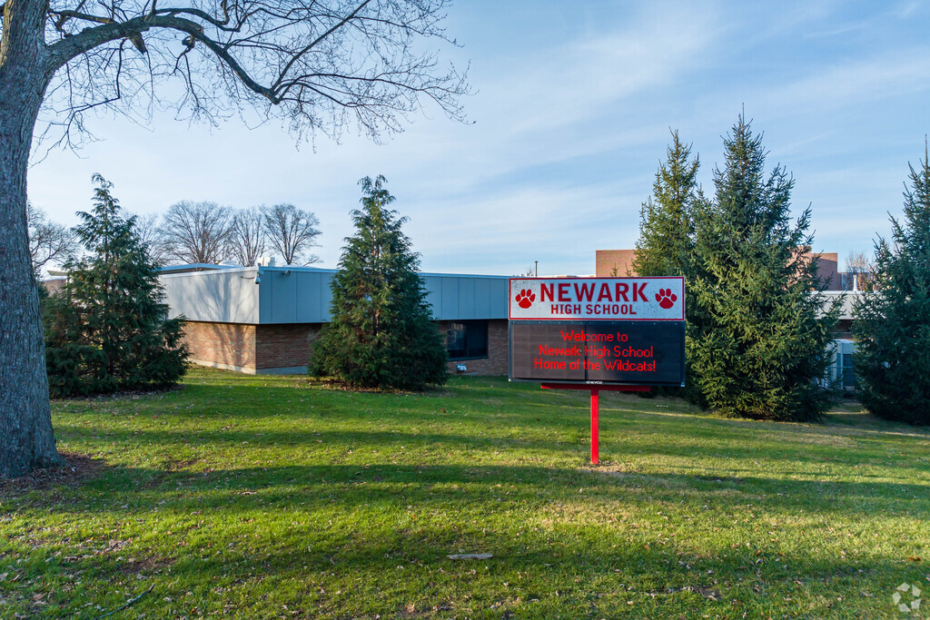 Older students attend the Newark High School.
