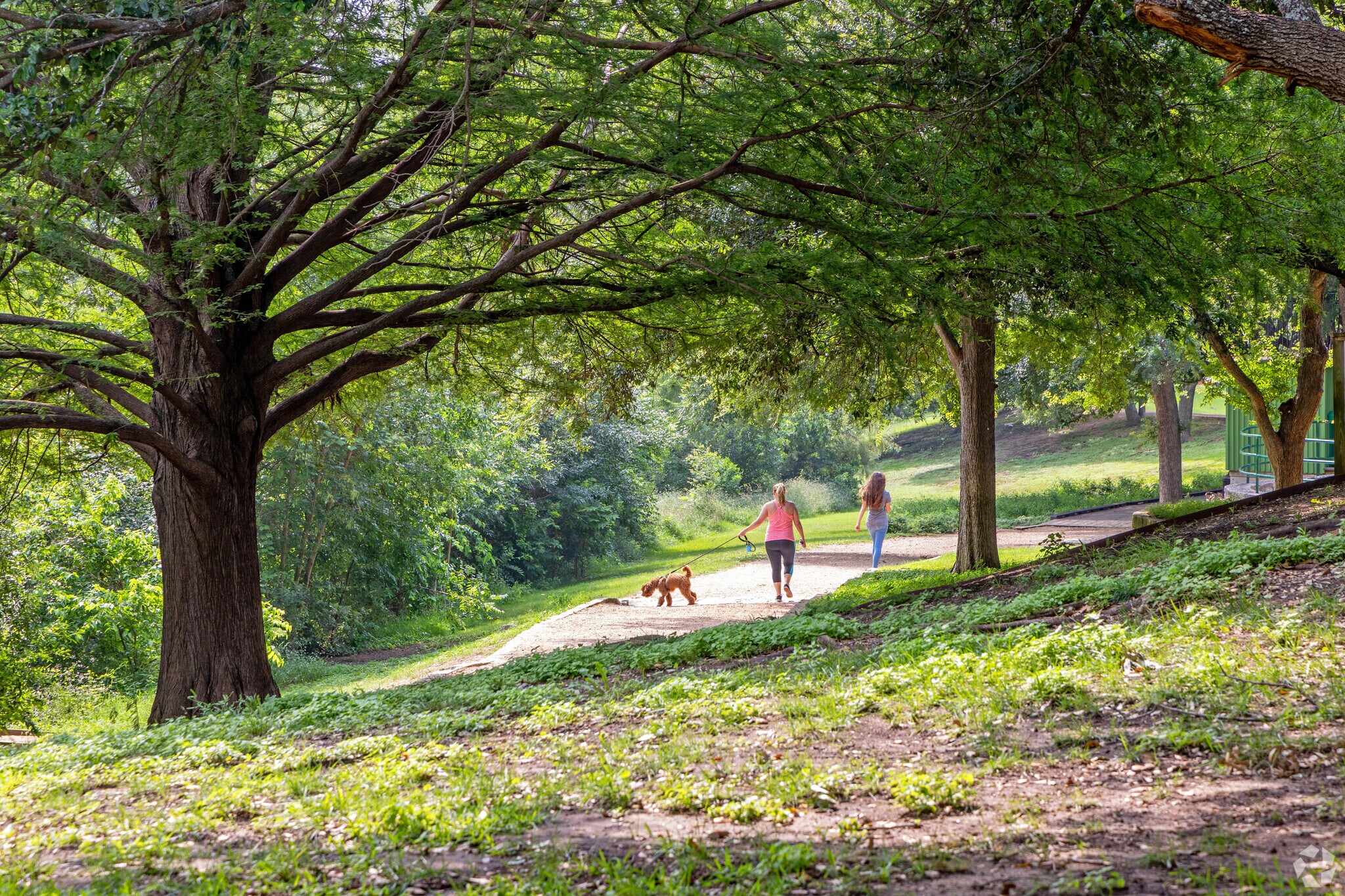Go for a walk with the pup around the park trails in Wells Branch.