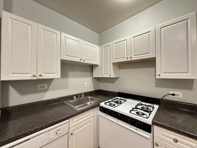 3732 N Pine Grove Ave unit J06P, Chicago, IL 60613 - photo 5