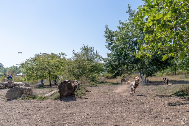 Squalicum Creek Park in Birchwood is the perfect spot for your dog to make new friends.