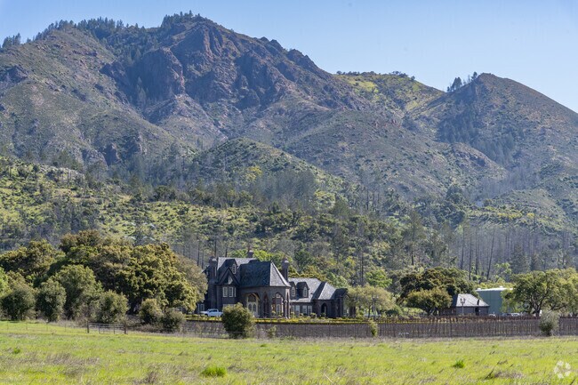 One iconic wine tasting option for Montecito Heights wine lovers is the Ledson Winery & Vineyards.