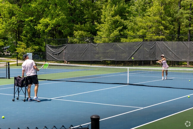 Locals can practice their racquet skills at Glen Arbor Playground's tennis courts.