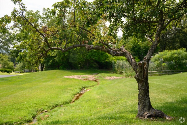 Beautiful scenery awaits around every corner in Laureldale.