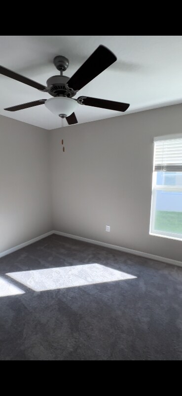 12727 Maple Bonsai Dr, Riverview, FL 33579 - photo 4