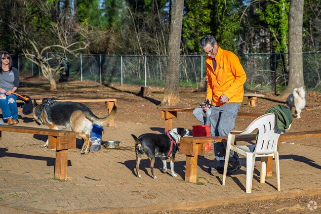 K9 Corner Park in Elon is always busy with activity.