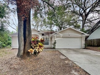 1127 Dunbridge St, Apopka, FL 32703