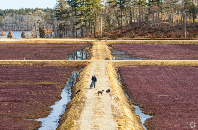 Just a few minutes south of City Center are spectacular views of world famous cranberry bogs.