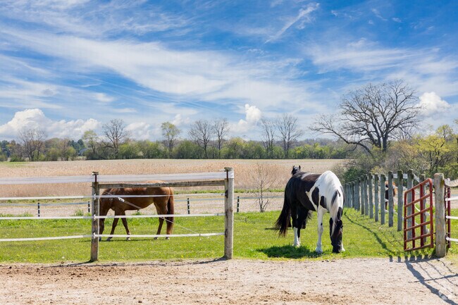 Excelsior Equestrian Center of Ainsworth boards, trains and takes care of many horses.