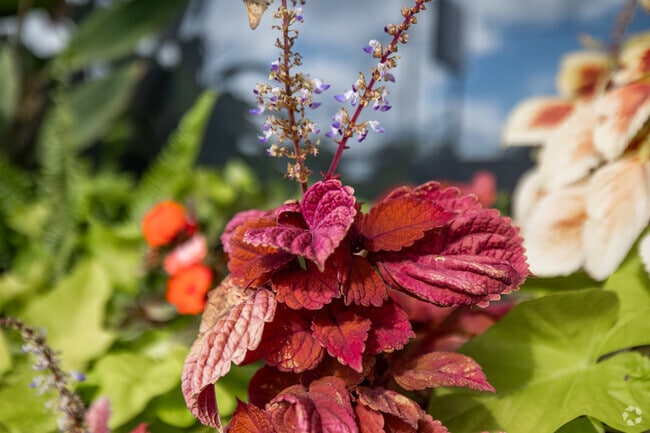 Fabrique features brick homes, trails, and friendly neighbors.