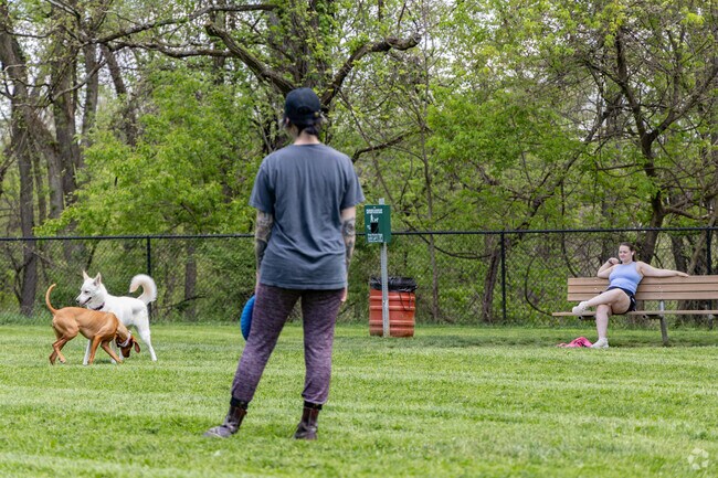 Friends meet at Penn Hills Dog Park for a dog play date.