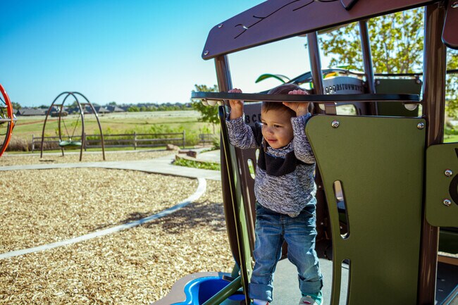 GLT - Ford-Field_Fall-194.jpg