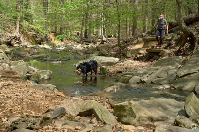 Donaldson Run park offers an outdoor escape in a busy DC suburb.