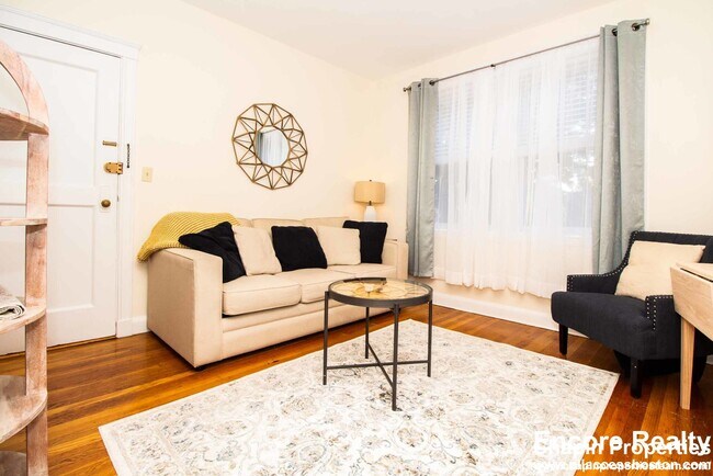 191 Kent St unit 3, Brookline, MA 02446 - photo 6