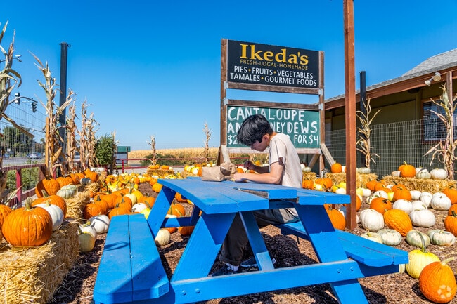 Davis residents can enjoy a gourmet meal from Ikeda's.