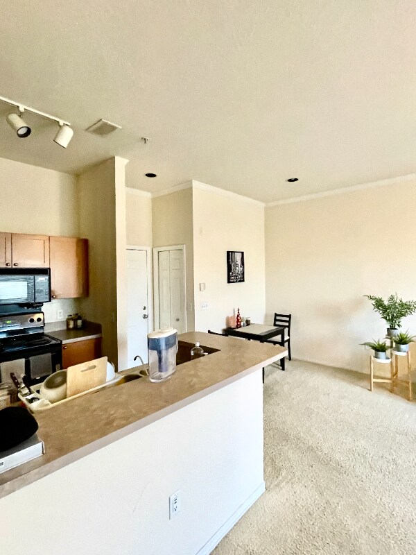 2200 Ladora Dr unit ADRW, Brandon, FL 33511 - photo 5