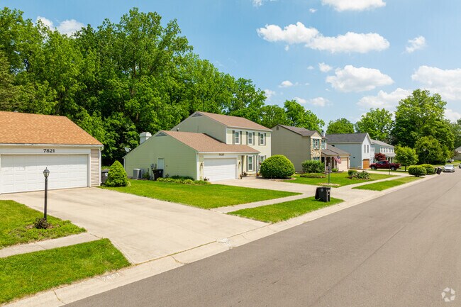 Mature trees provide shade throughout the Countrybrook neighborhood.