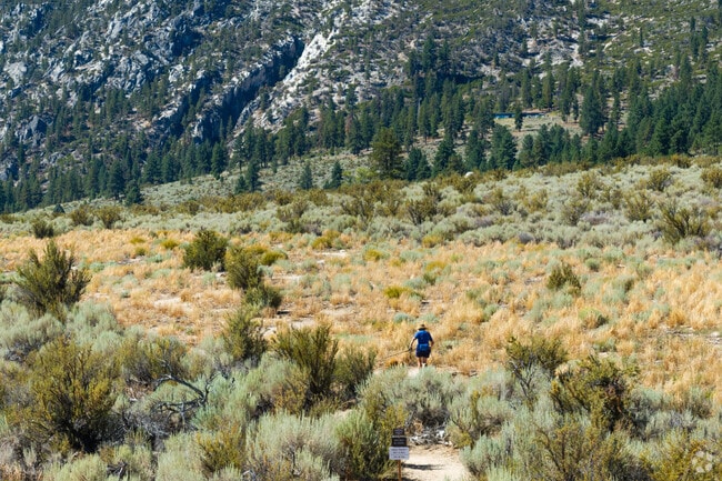 Hikers and bikers enjoy the great outdoors in Gardnerville.