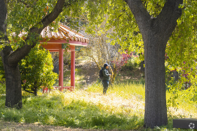 A man enjoying his time by the pond of the Chinese Cultural Gardens.