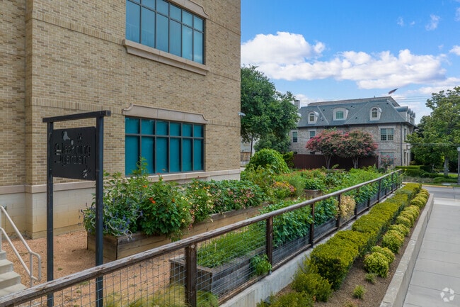 Local garden and green space on the campus of University Park Elementary in Dallas, TX.