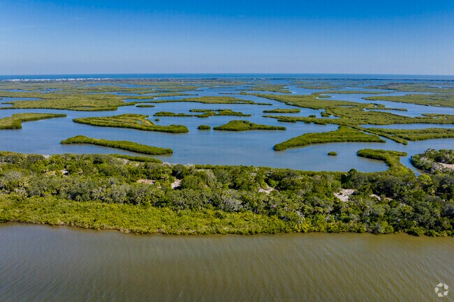 Grab a kayak or paddle board and explore one of the many waterways in South Edgewater.