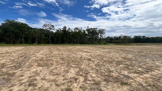 460 Tulip Poplar Dr, Moncks Corner, SC 29461