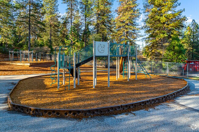 Children love the slide at Colfax Elementary School.
