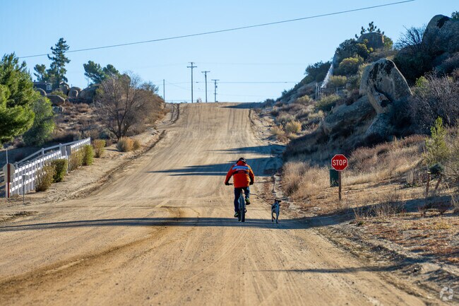 Hit the trails of Lake Riverside with your dog for fun and fitness.