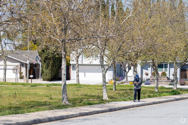 Tree-lined sidewalks make Almaden Meadows perfect for a peaceful neighborhood stroll.