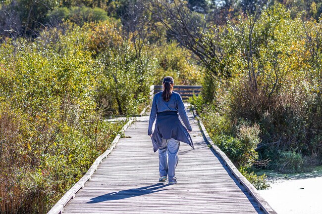 Stroll the boardwalks at Harriet Alexander Nature Center.