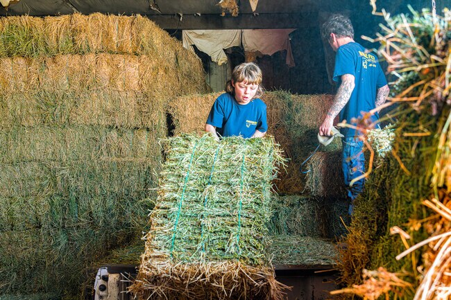 Pioneer feed gives locals of Elverta with the essentials.
