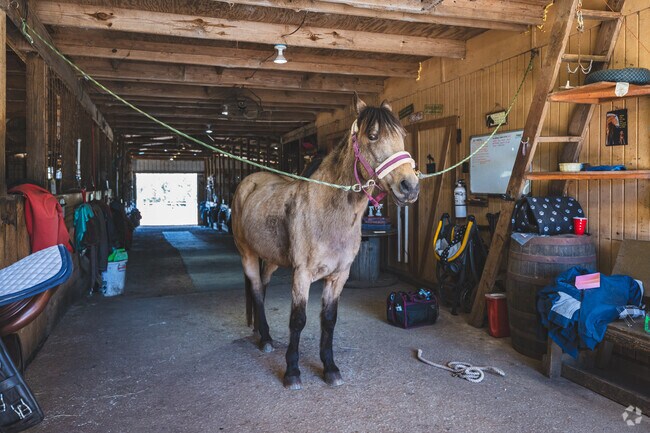 Sandstone Equestrian Center offers lessons and also events in Cottage Park.