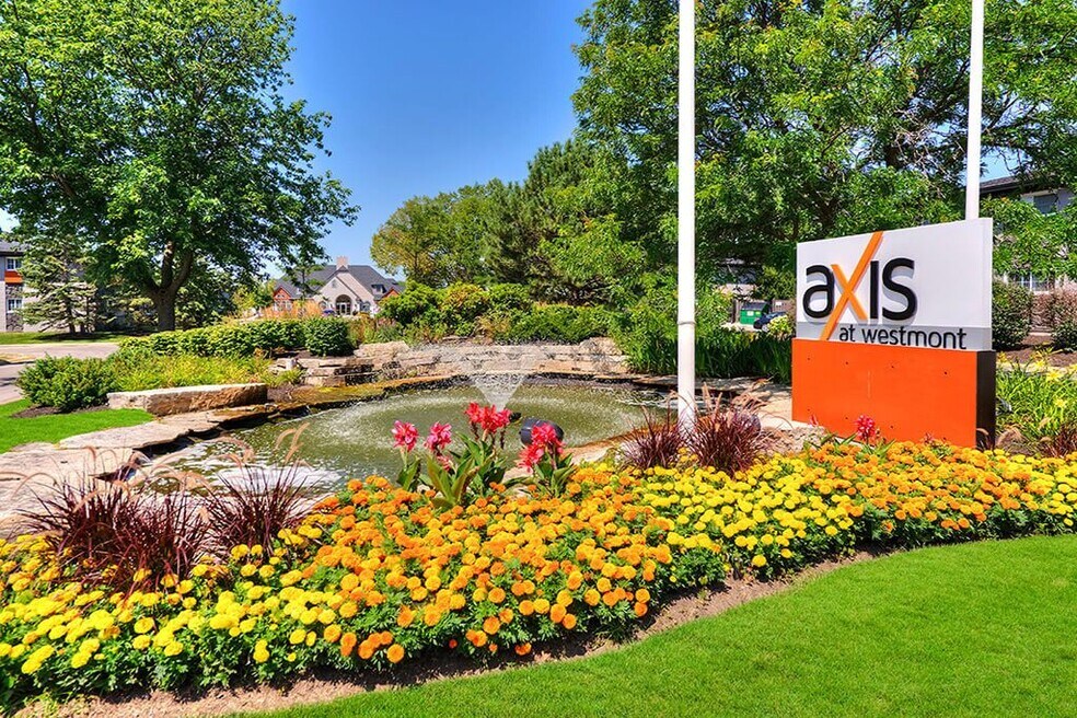 Axis at Westmont, Westmont, IL 60559 - photo 1