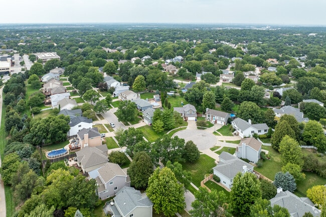 Southern Hills homes have large shade trees.