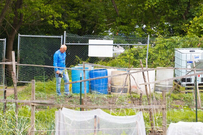 Tivoli Lake Preserve hosts a community garden and seasonal farmers market.