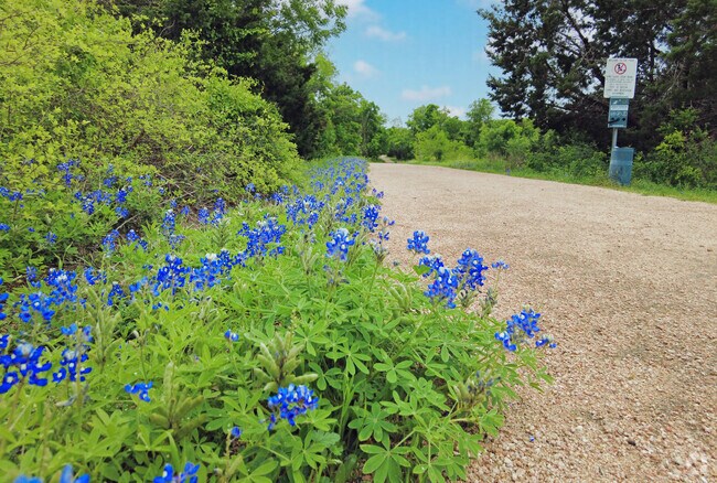 Stop and smell the bluebonnets at Copperfield Neighborhood Park.