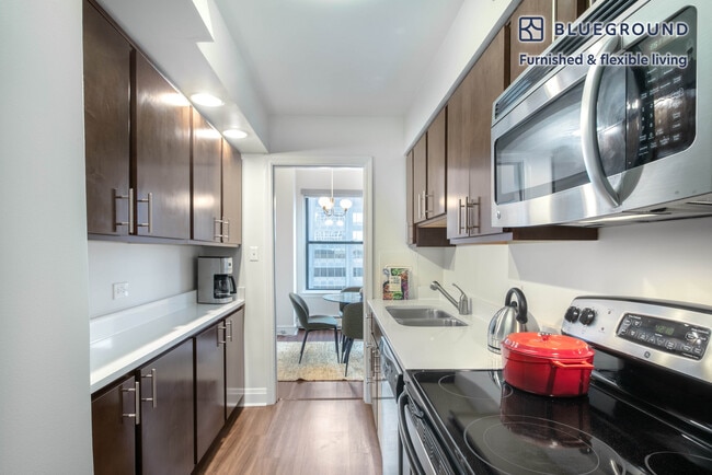 200 E Chestnut St unit FL17-ID142, Chicago, IL 60611 - photo 5