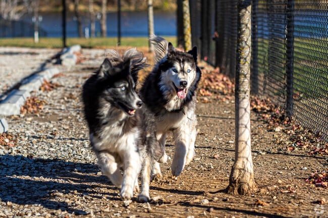 Spring Hill offers outdoor enthusiasts a buffet of options including off leash dog park.