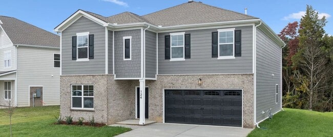 124 Dahlia Dr, La Vergne, TN 37086 - photo 3