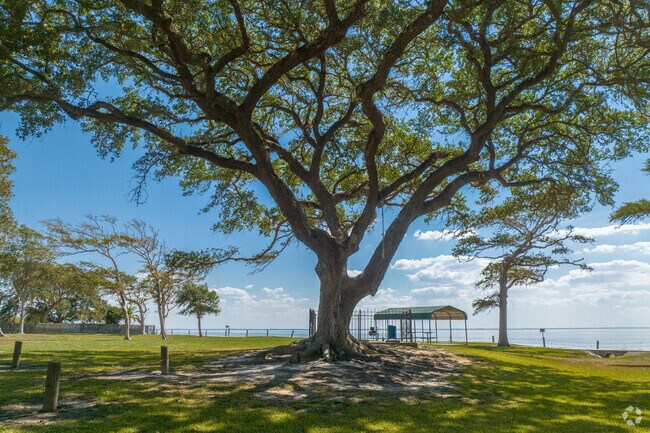 McCollum Park is located in Beach City, TX and offers a variety of recreational activities.