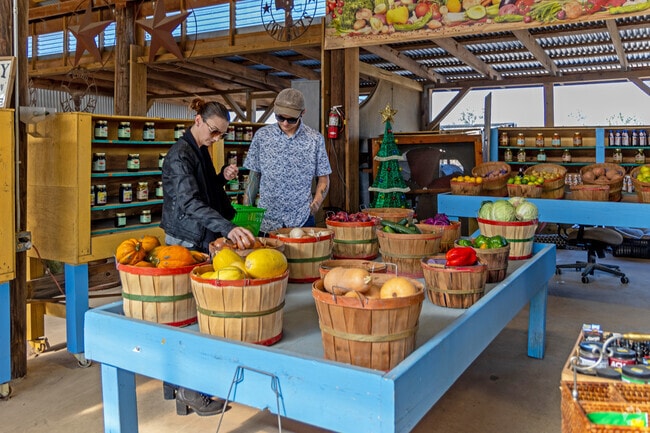 Eli's Farm To Market provides an authentic farm-to-table experience.