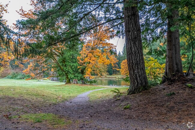 At Silver Lake Park, forested paths lead to tranquil lake views, offering a classic Pacific Northwest hiking experience just minutes from Maple Falls.